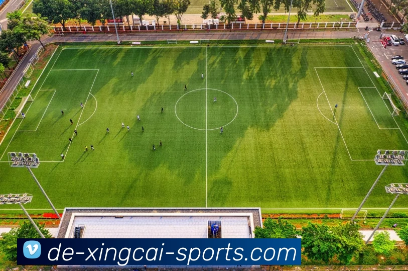 杏彩体育APP 封面图